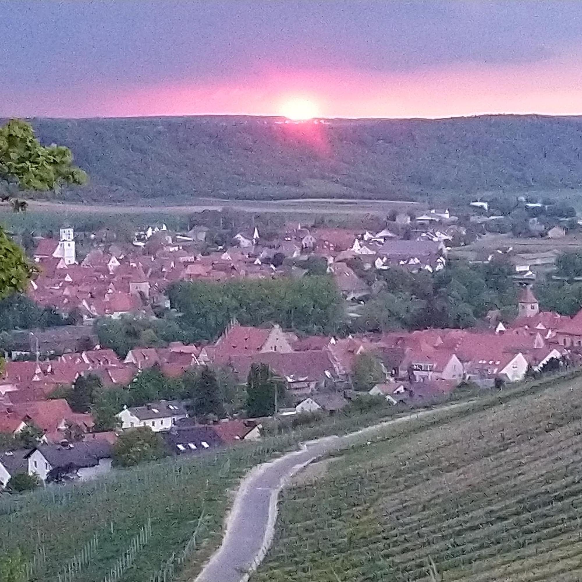 Kirschberghof Gaestehaus Und Weinverkauf Sommerhausen Exteriér fotografie