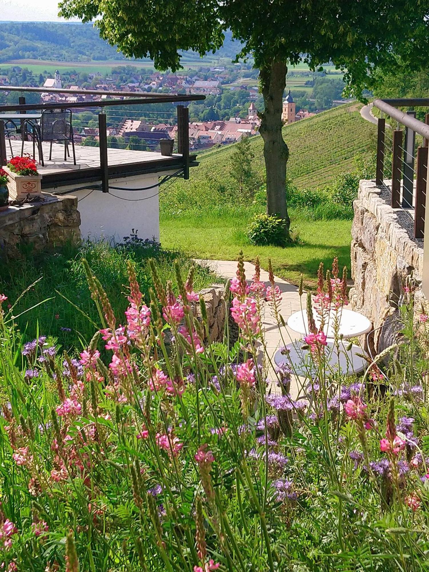 Kirschberghof Gaestehaus Und Weinverkauf Sommerhausen Exteriér fotografie