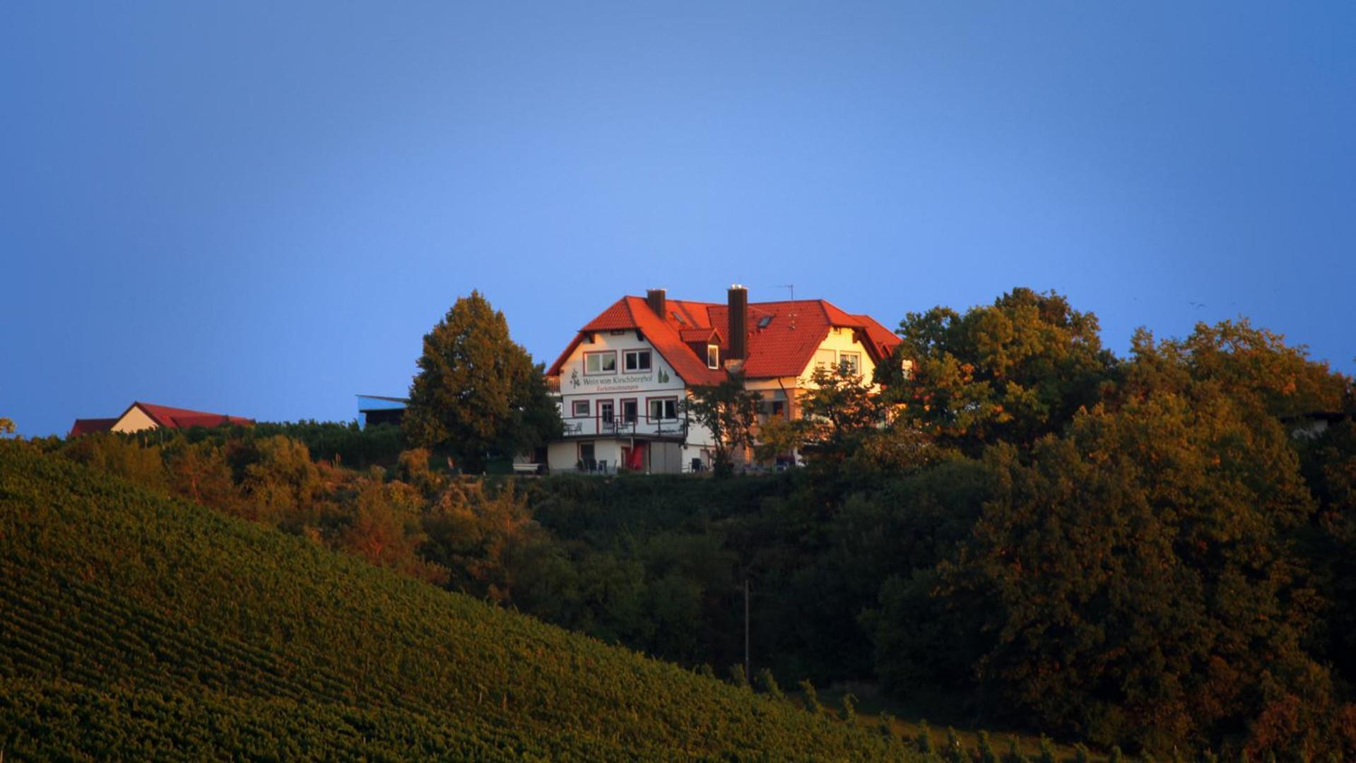 Kirschberghof Gaestehaus Und Weinverkauf Sommerhausen Exteriér fotografie